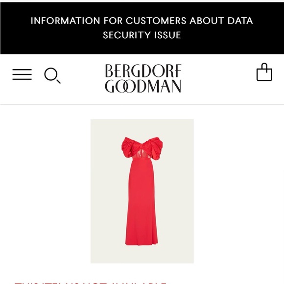 Alexander McQueen Dresses & Skirts - Alexander McQueen read evening gown